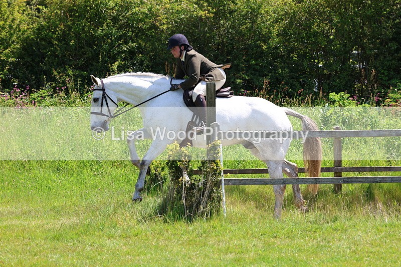 3E7A7491 - Class 31: Working Hunter Cob/Riding Horse