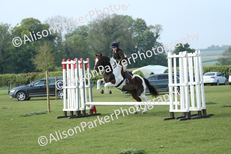 20260426-0071 - Class 13 - Rookie Jumping 50cm