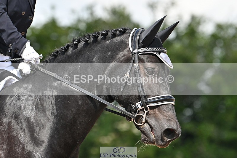 240621A-111346-01929 - Cls 4 BD Novice 22