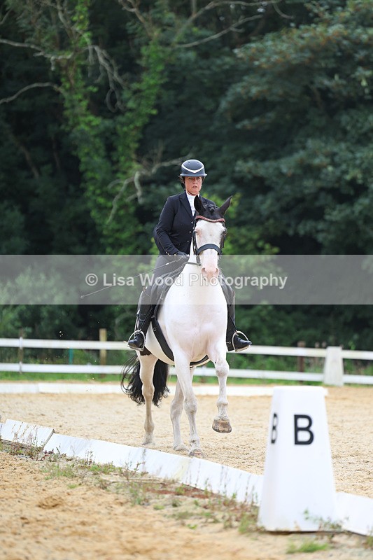 3E7A7082 - Class 7: Novice 4 2024 Section B