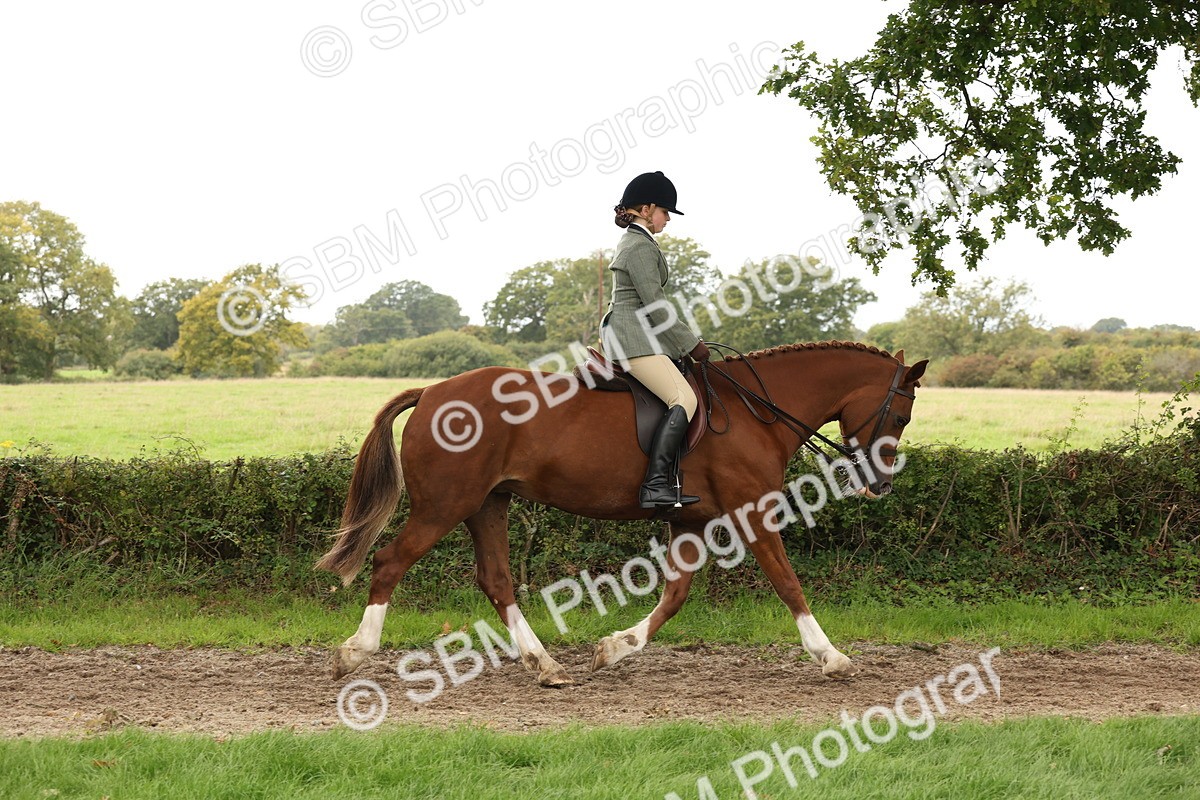 SBM_66288 - S66 - Hunter Ridden