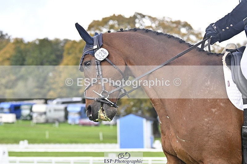 251023A-140710-04249 - D-328-Julia.Knight-Jones