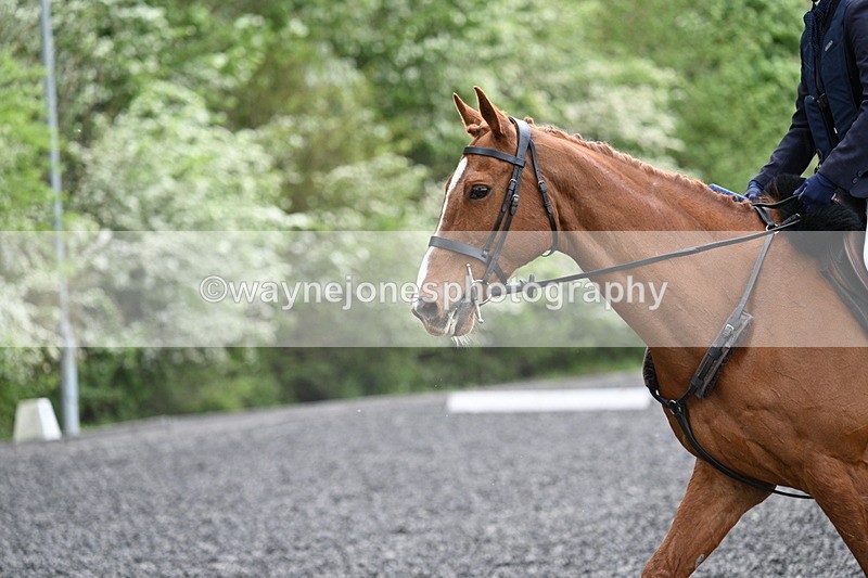 WJ7_0801 - Time 14:01 to 14:12