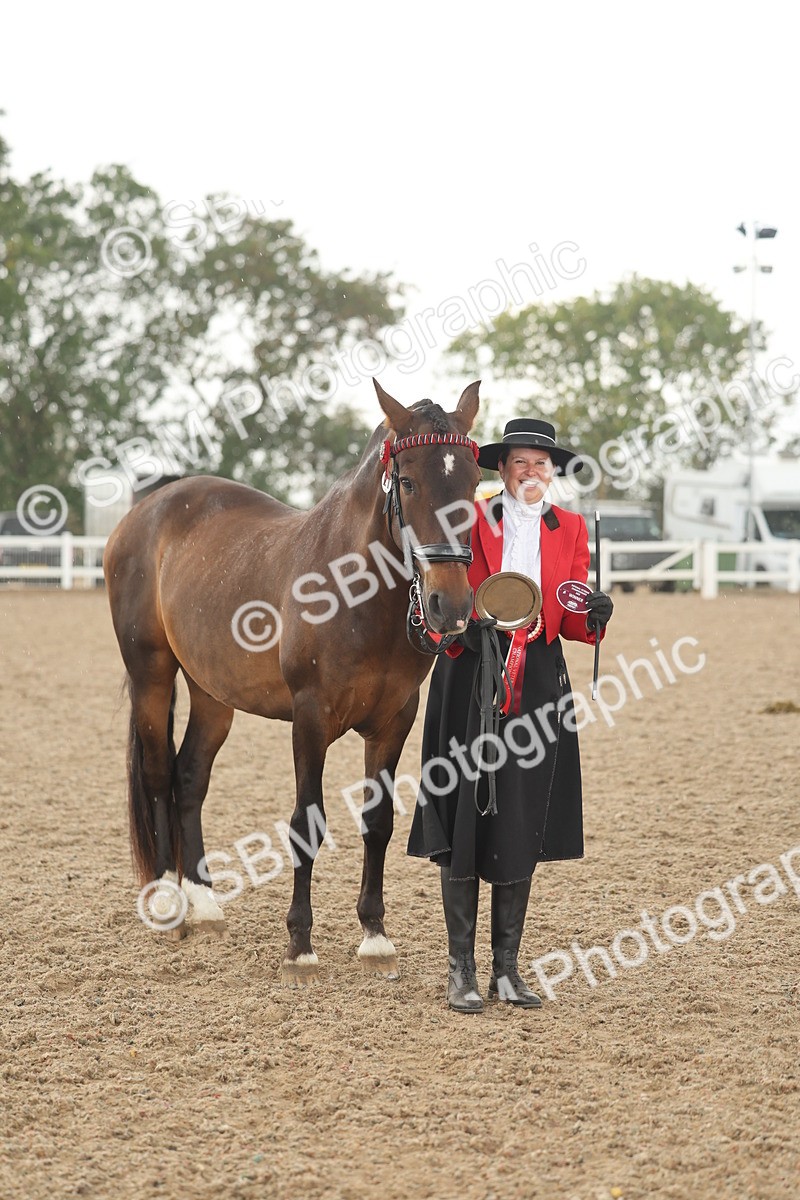 SBM_07710 - Class 26 - IH Foreign Breeds - Part Bred