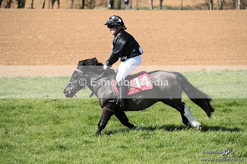 Shet 060426 334 - Shetland Pony Racing Paxford Races Easter Mon 06/04/26