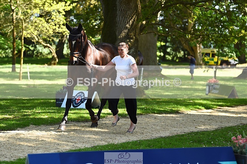 230524-153138-00331 - 353-THE_RIPPER-Bundy_Philpott-WEDTrotUp+DR