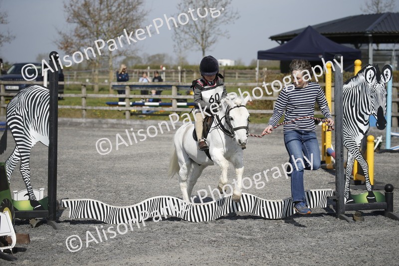 20250412-0225 - Show Jumping