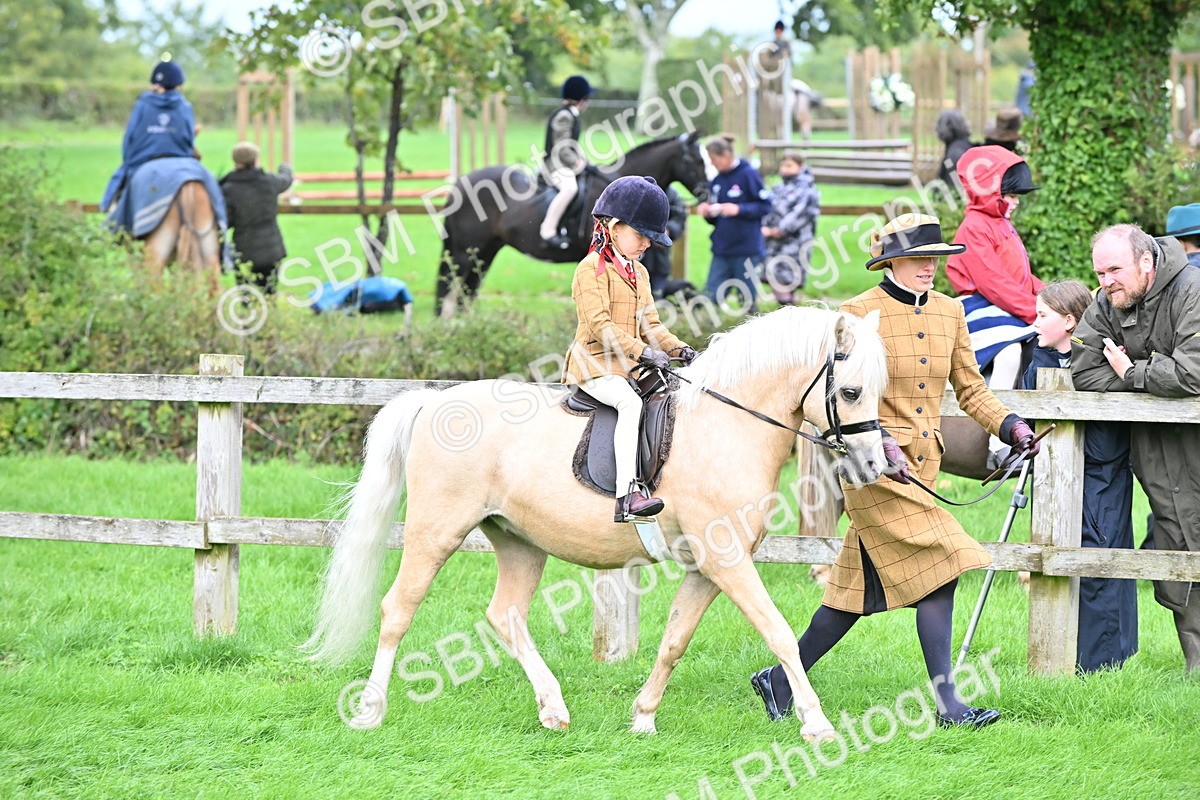 SBM_40139 - S20 - Lead Rein Mountain & Moorland Pony