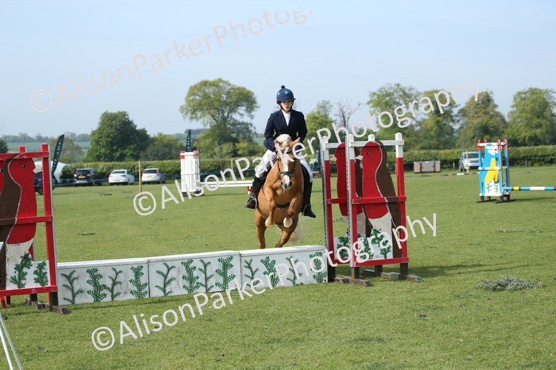 20260426-0246 - Class 13 - Rookie Jumping 50cm