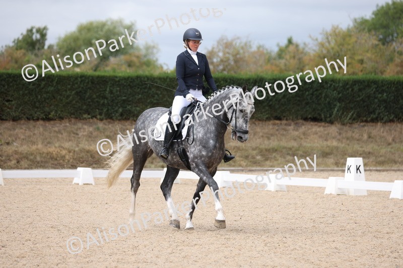 20250820-0791 - Class 15 - Novice 4