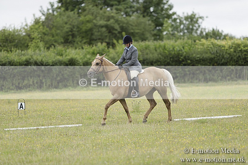 BVR160717-1196 - Class 2 Dressage 16/07/17