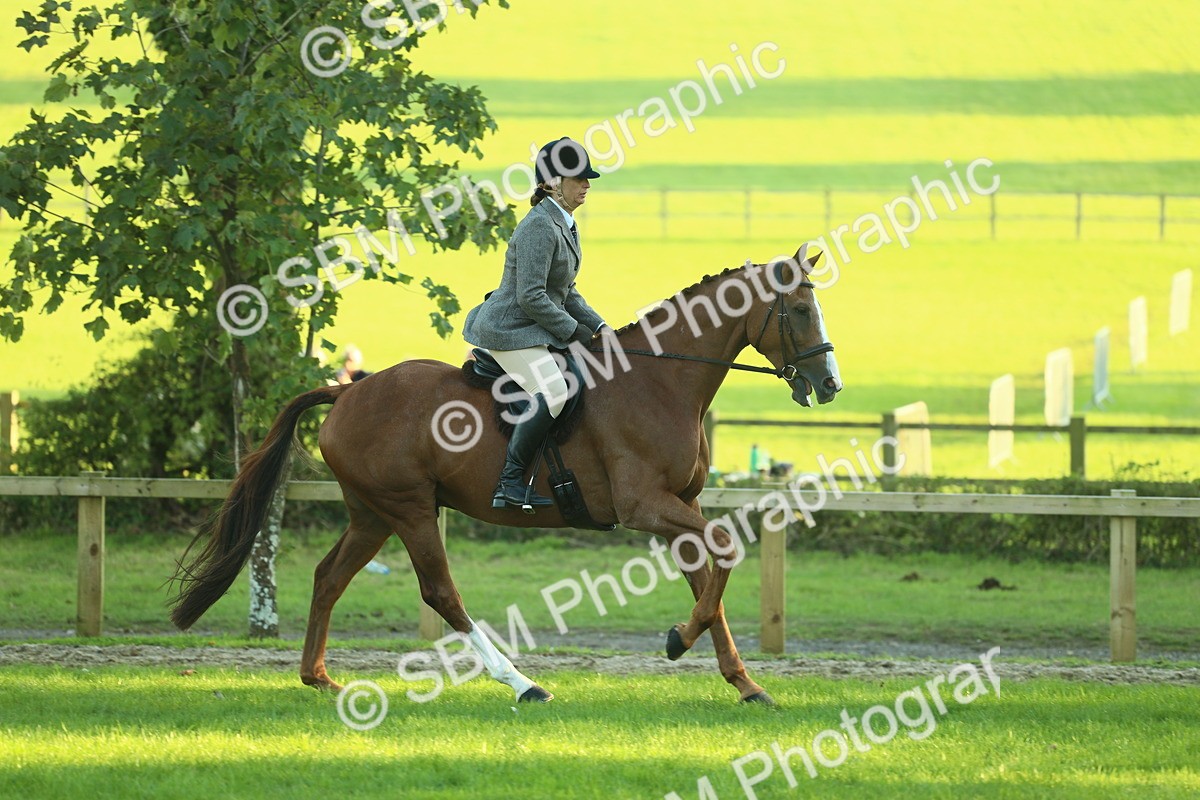 SBM_56392 - S14 - Riding Club Horse