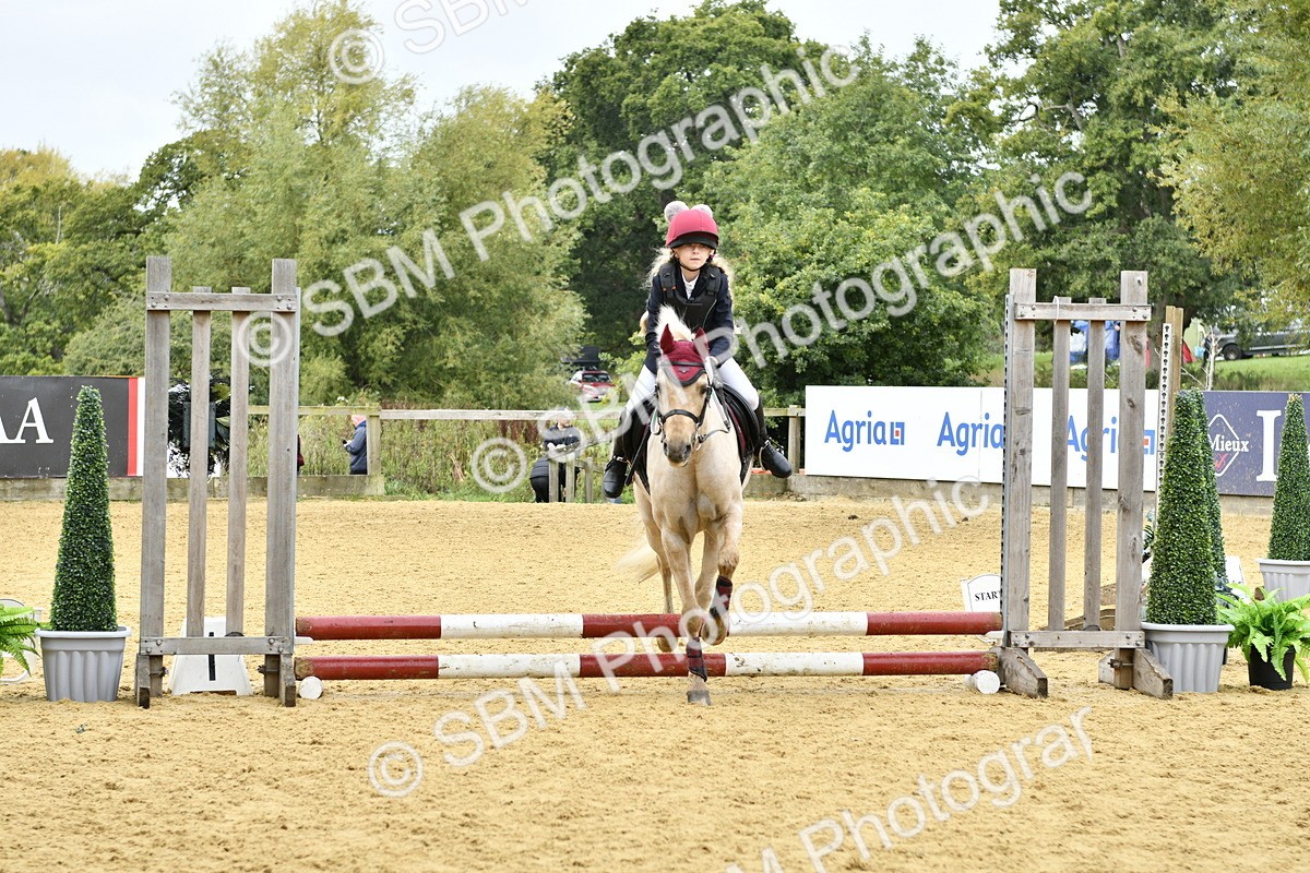 SBM_57396 - J61 - Mini Clear Round 30cm & 40cm