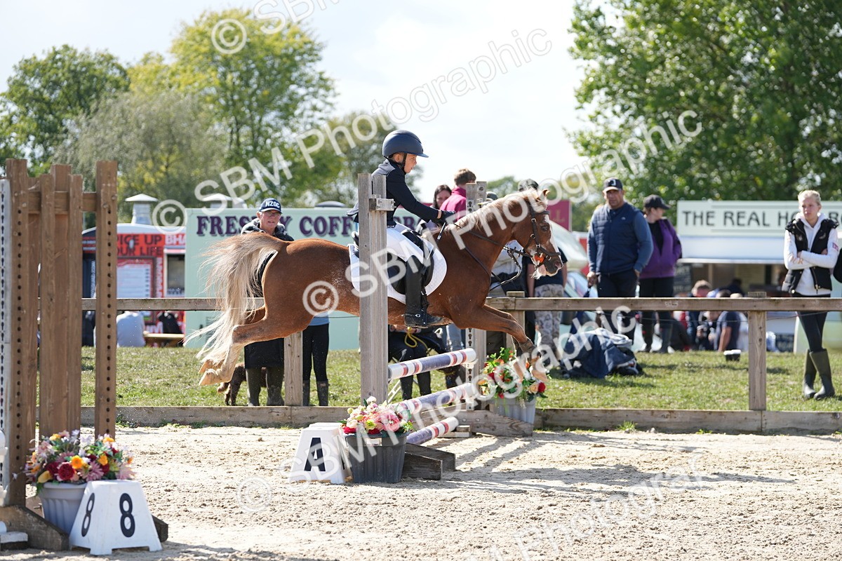 SBM_46524 - J7 - Junior Pony 60cm Championship