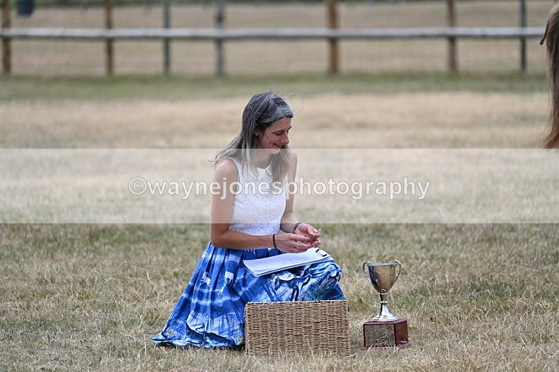 WJ7_2132 - Prettiest Mare Champs