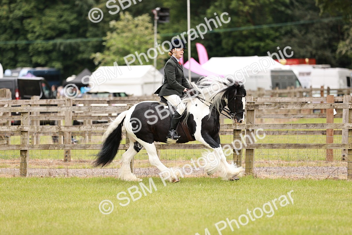 SBM_06175 - Class 39-41 TGCA In Hand and Ridden