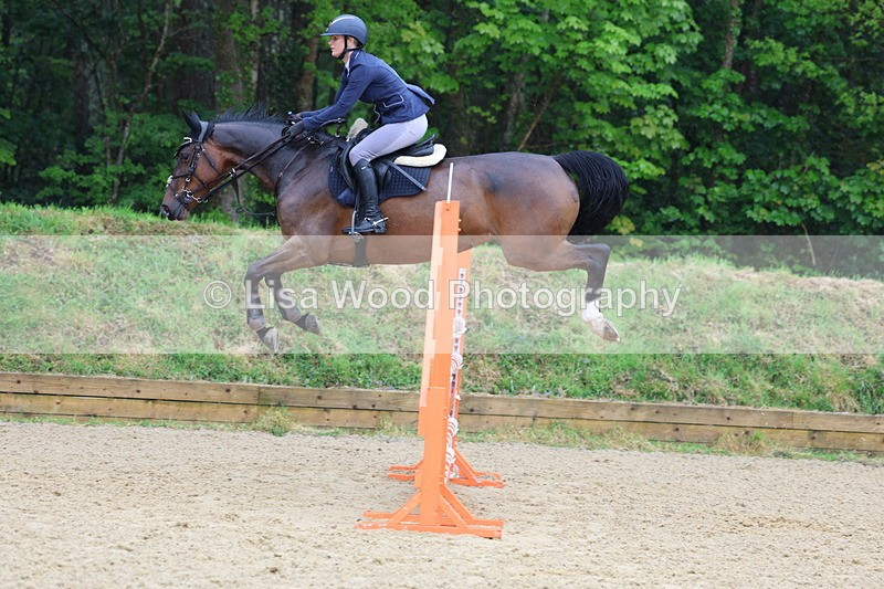 3E7A7418 - Class 8: Senior Foxhunter/1.20 open