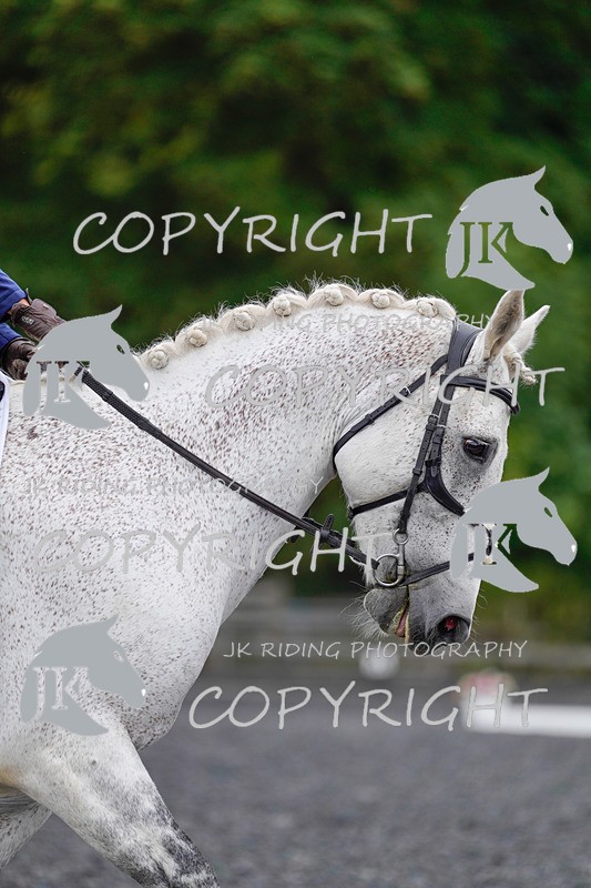 _DSC1700 - NOVICE 2