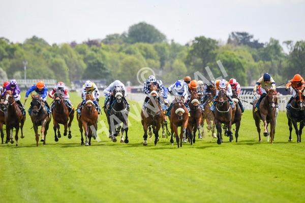 170523-Race 2-Bielsa-0273 - Race 2 2.25pm Churchill Tyres Handicap