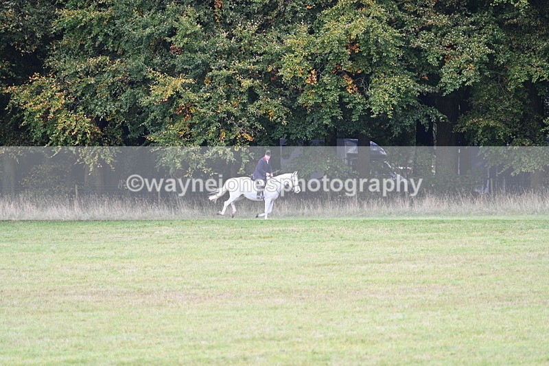 WJ7_4014 - Camera 1 Line 2