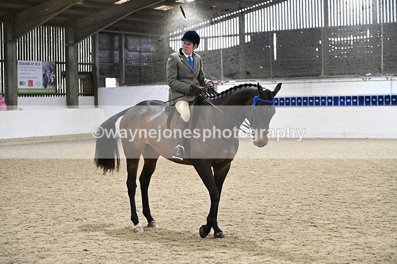 WJ7_4335 - Class 17 Ridden Cob