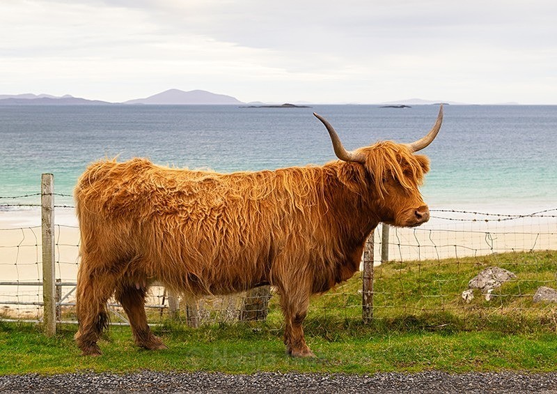  - Scotland, UK