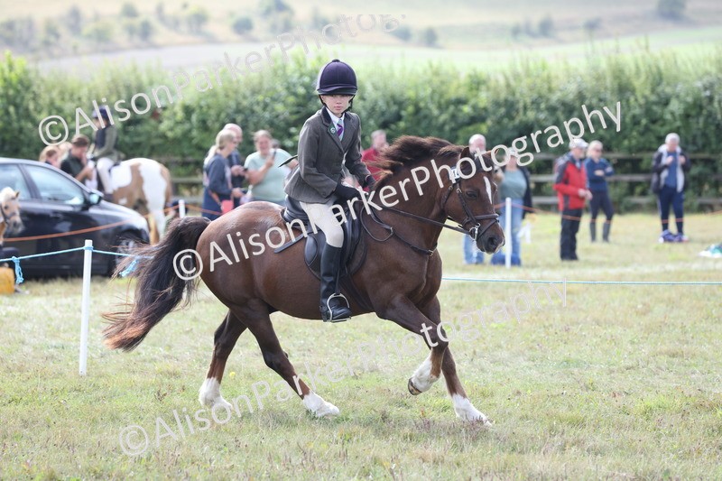 20250831-1255 - Class 15 - Ridden Veteran