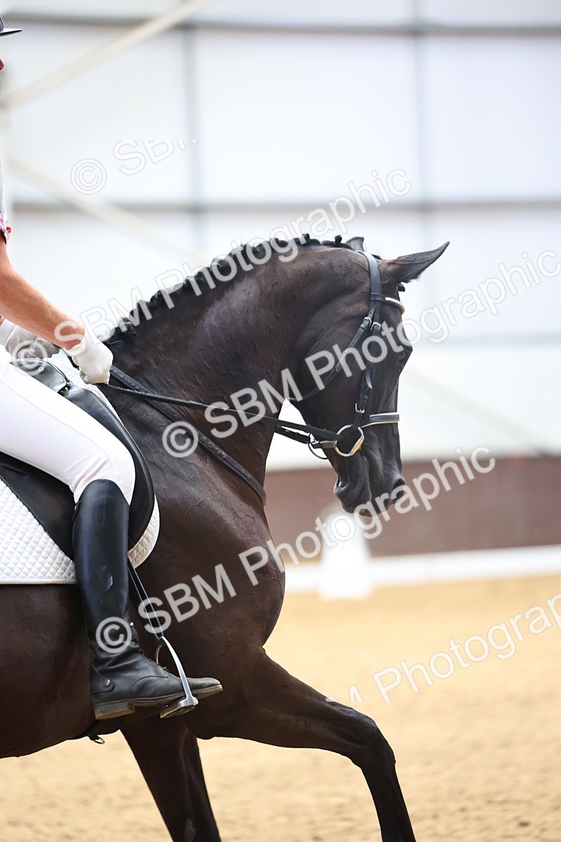 SBM_021914 - Class 14 - N6