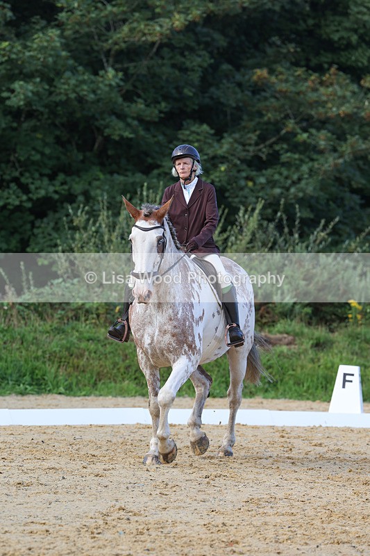 3E7A2419 - Class 1: Intro 4 2024 section A