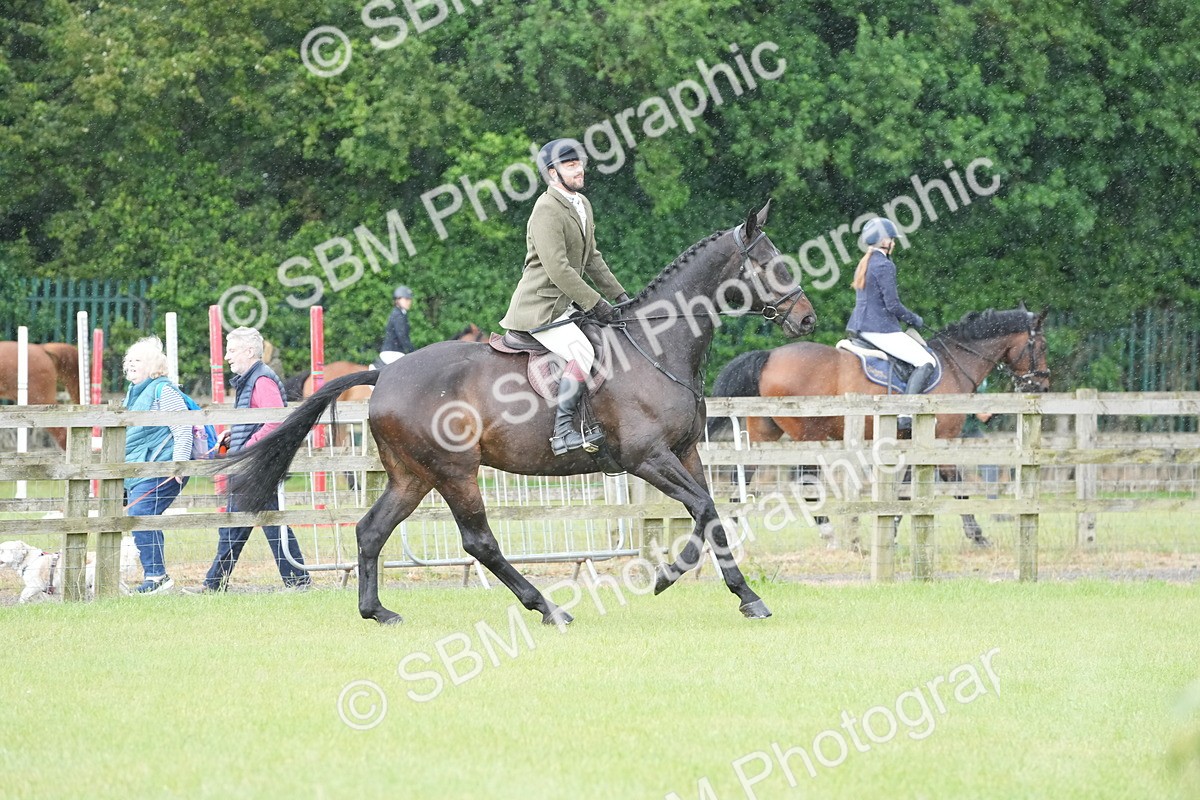 SBM_12665 - Class 97-98 - LIHS BSHA Rising Star Working Show Horse Hunter