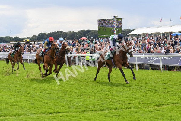250823-Race 2-Coltrane-0336 - Race 2 2.25pm Weatherbys Hamilton Lonsdale Cup Stakes