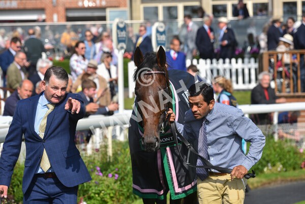 yr18082021r4-186 - Race 4 3.35pm Juddmonte International Stakes (British Champion Series race)