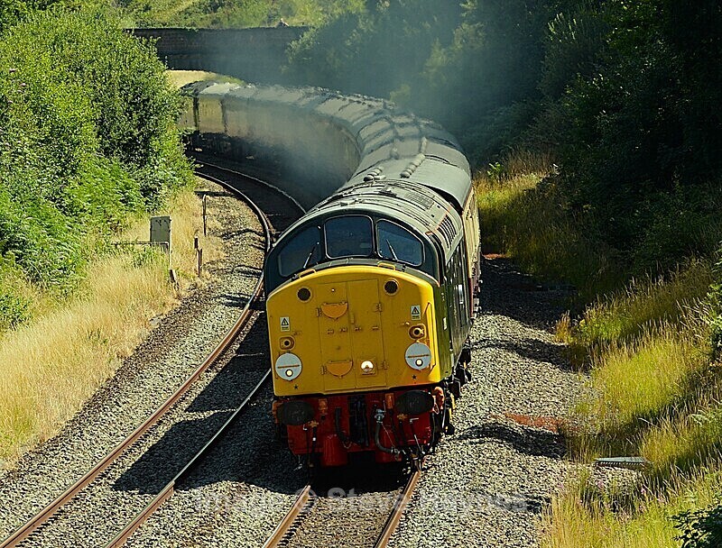 12th July 2025 - Whiteball, Somerset