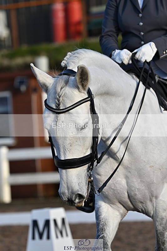 241214-135253-02641 - 102-PAULA.LEE-Deseado.Santo