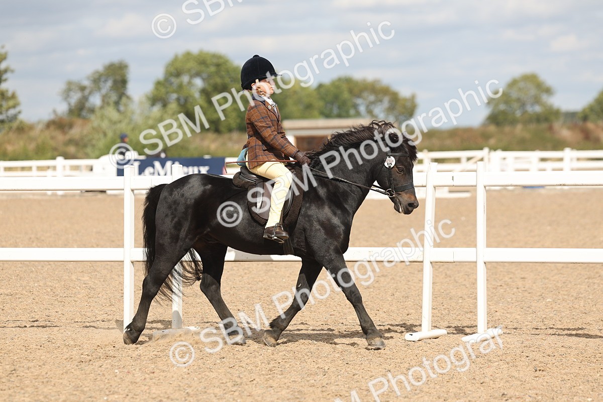 SBM_15867 - Class 310 - First Ridden Pony