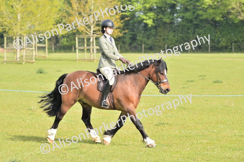 20260426-0866 - Class 18 - Novice Showing