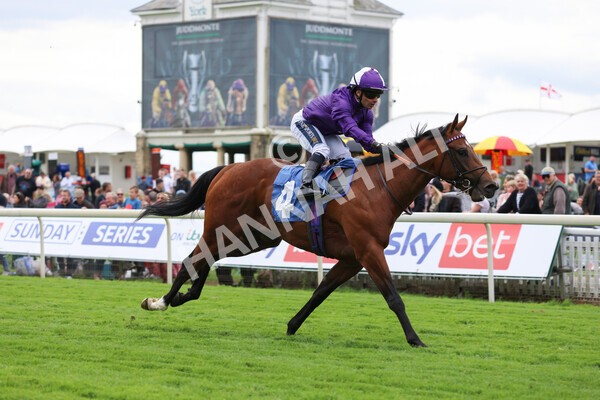 yr22052022r2-16 - Race 2: 4:00pm Sky Bet Sunday Series EBF Novice Stakes