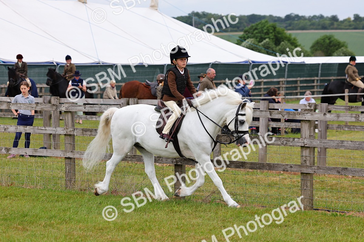 SBM_08476 - Class 42-43 - LIHS BSPS Heritage Working Sports Pony
