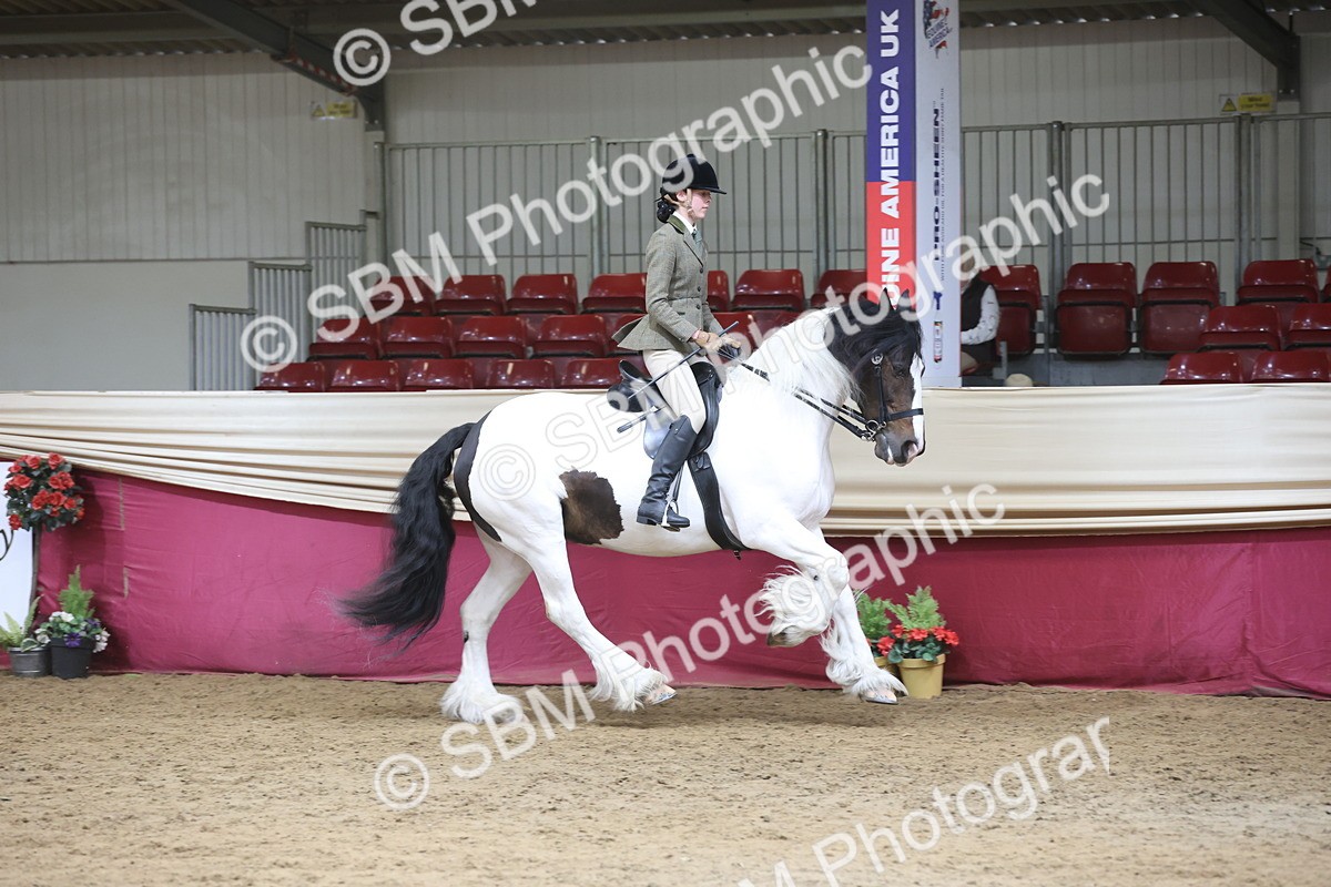 SBM_23726 - class 906 - Supreme Final - Ridden Pre Vet