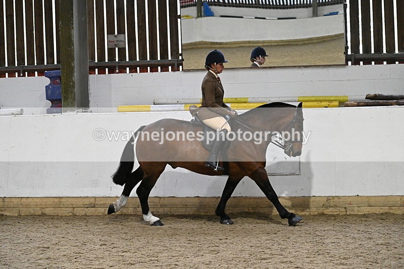 WJ7_3897 - Class 17 Ridden Cob