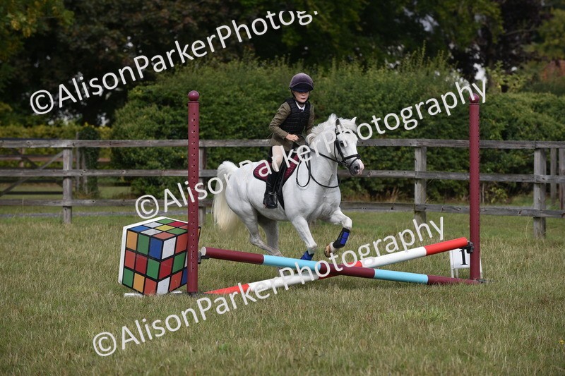 20250831-1806 - Class 8 - Hoof and Foot