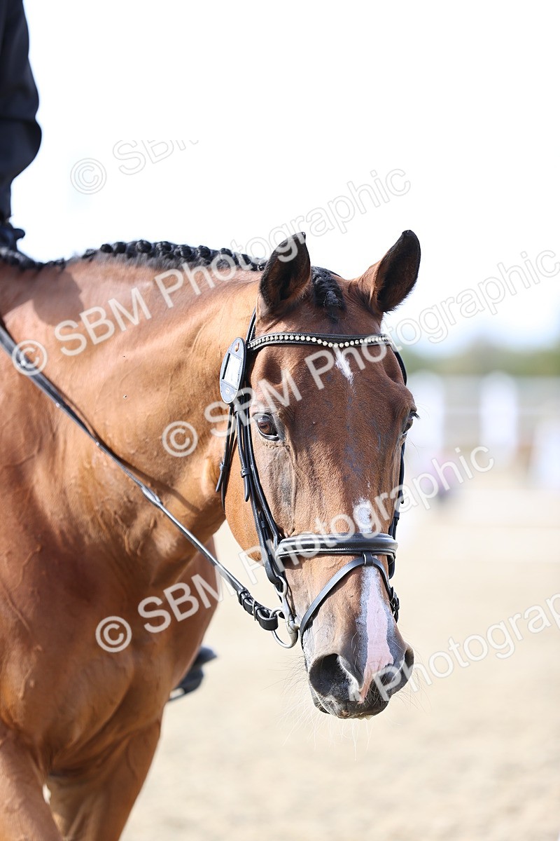 SBM_016096 - Class 5 - E5 Bronze  16.18.17.22