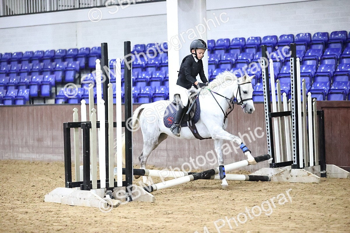 SBM_000075 - Class 1 - Fox Farriers 30cm