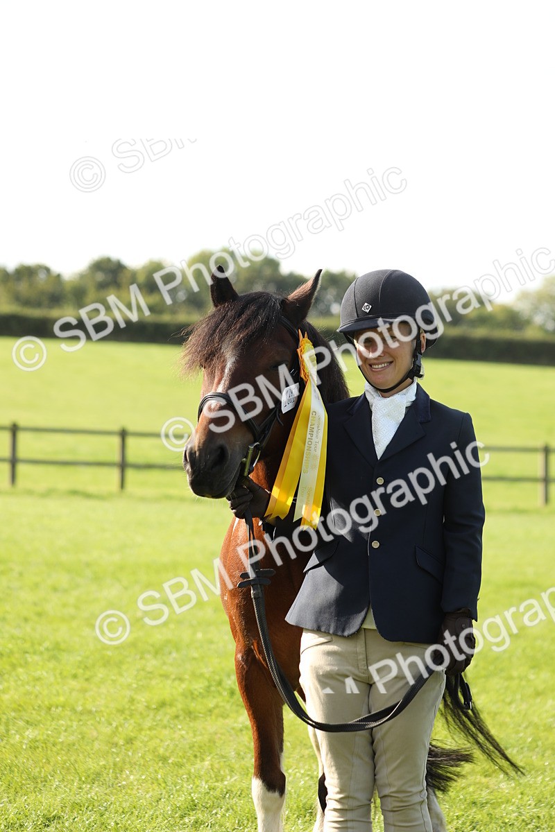 SBM_61005 - S43 - Coloured Pony In Hand