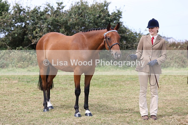 3E7A5566 - Class 20: Sports Horse In Hand