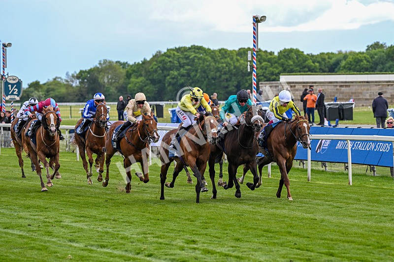 140526-Race 6-Dickensian-5788 - Race 6 4.40pm British Stallion Studs EBF Westow Stakes