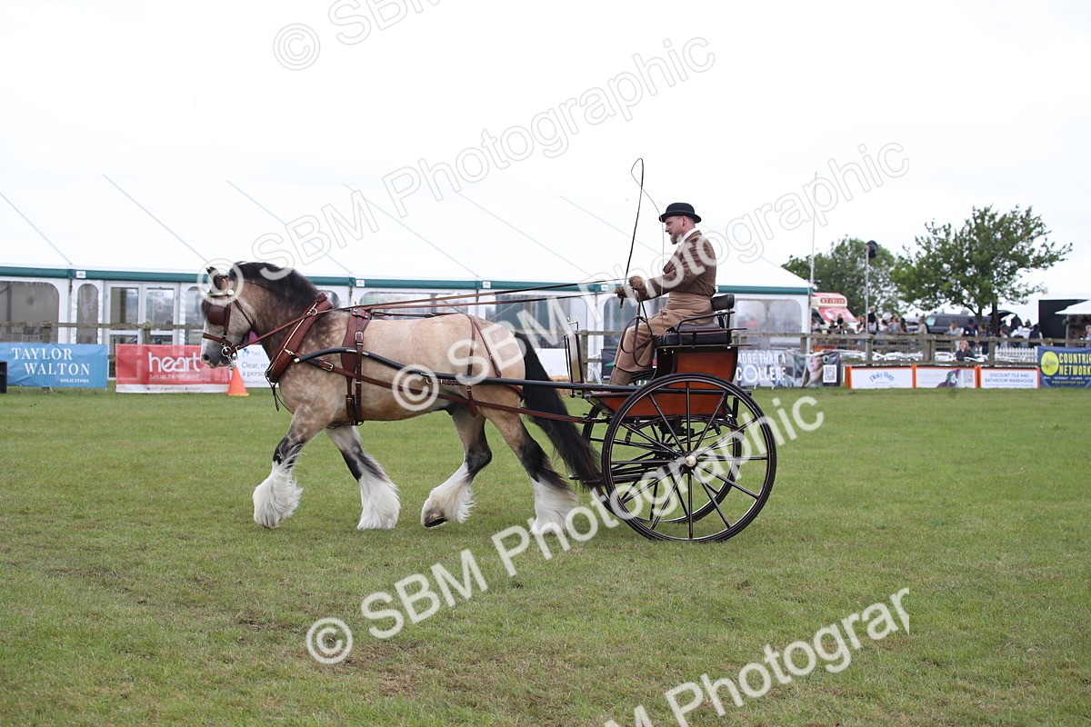 SBM_05636 - Class 12-15 - HOYS Private Driving