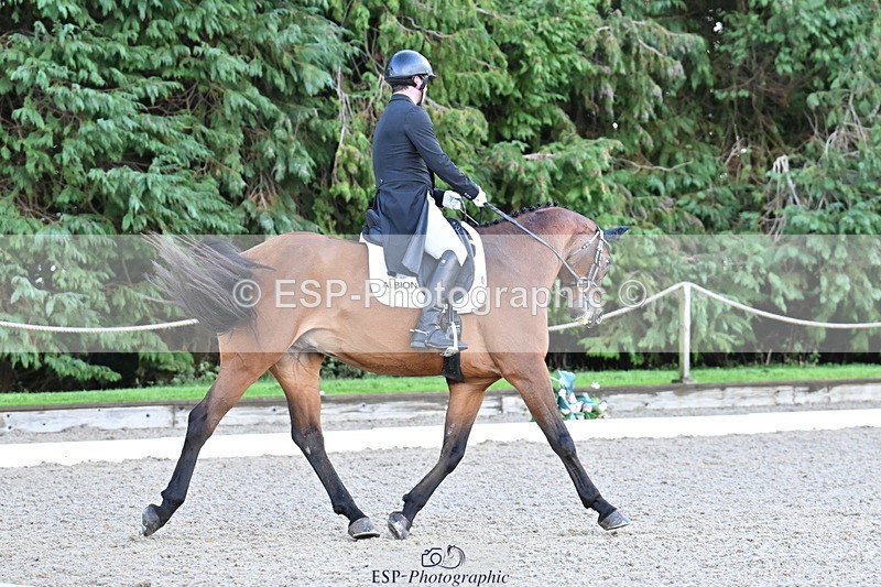 251023A-152001-05401 - C-255-Rupert.Batting