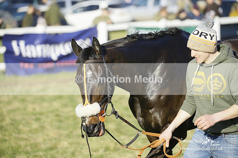 PtP 270222 403 - South & West Wilts Point-to-Point Larkhill 27/02/22