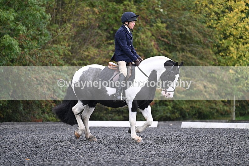 WJ7_3179 - Time 09:54 to 10:54